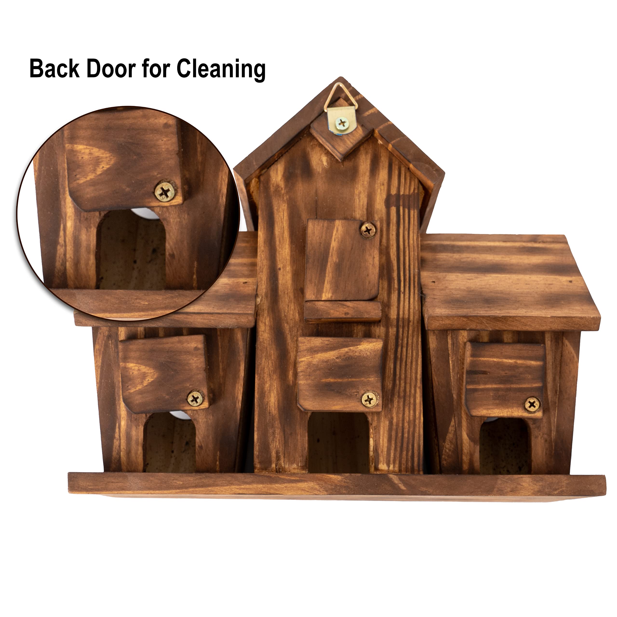 COLEBA Bird House outdoor 4-hole layout shows space for multiple families.