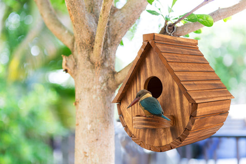 COLEBA bird house hanging for cardinals creates a welcoming nesting spot in your yard.