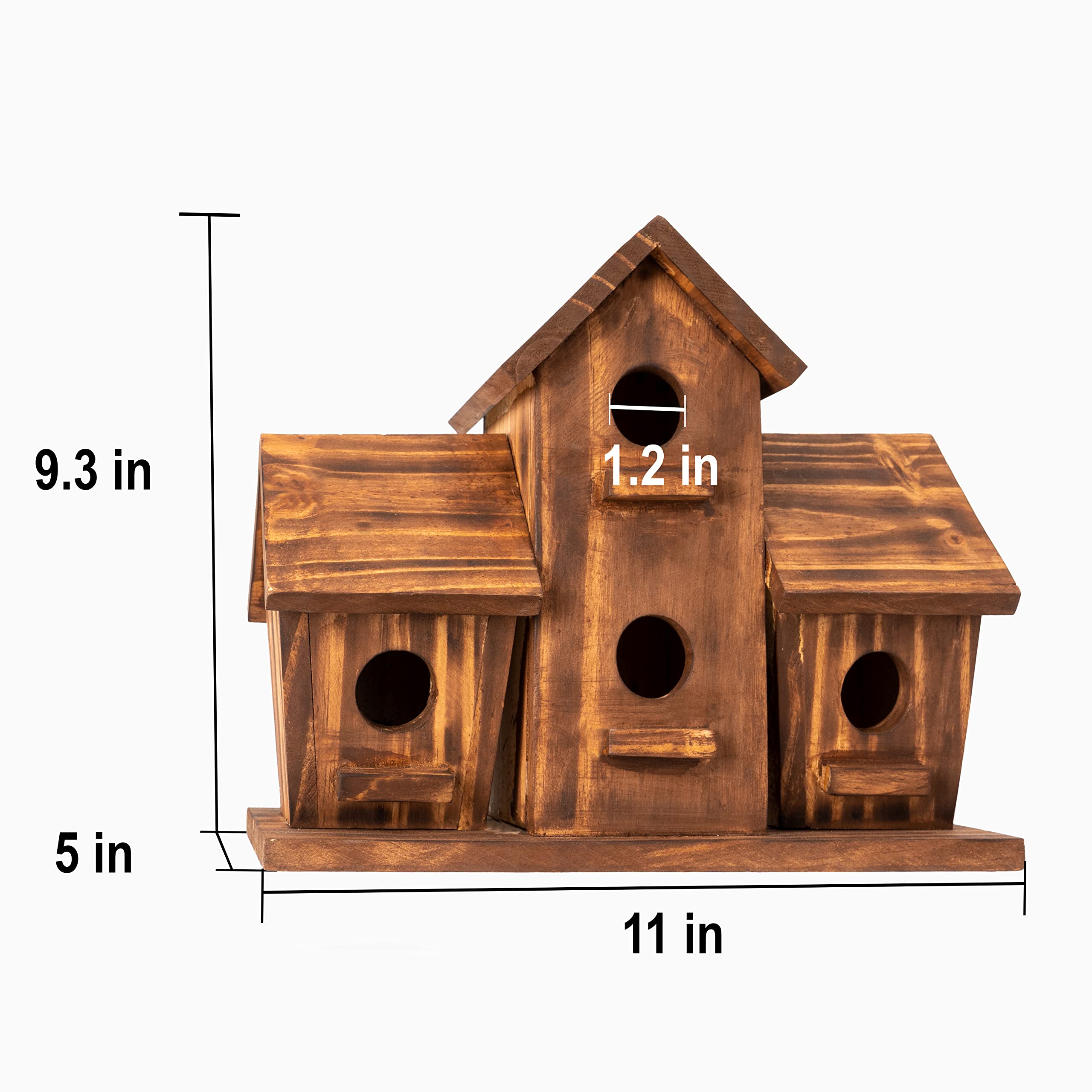 COLEBA Bird House tree trunk installation shows versatile mounting methods.
