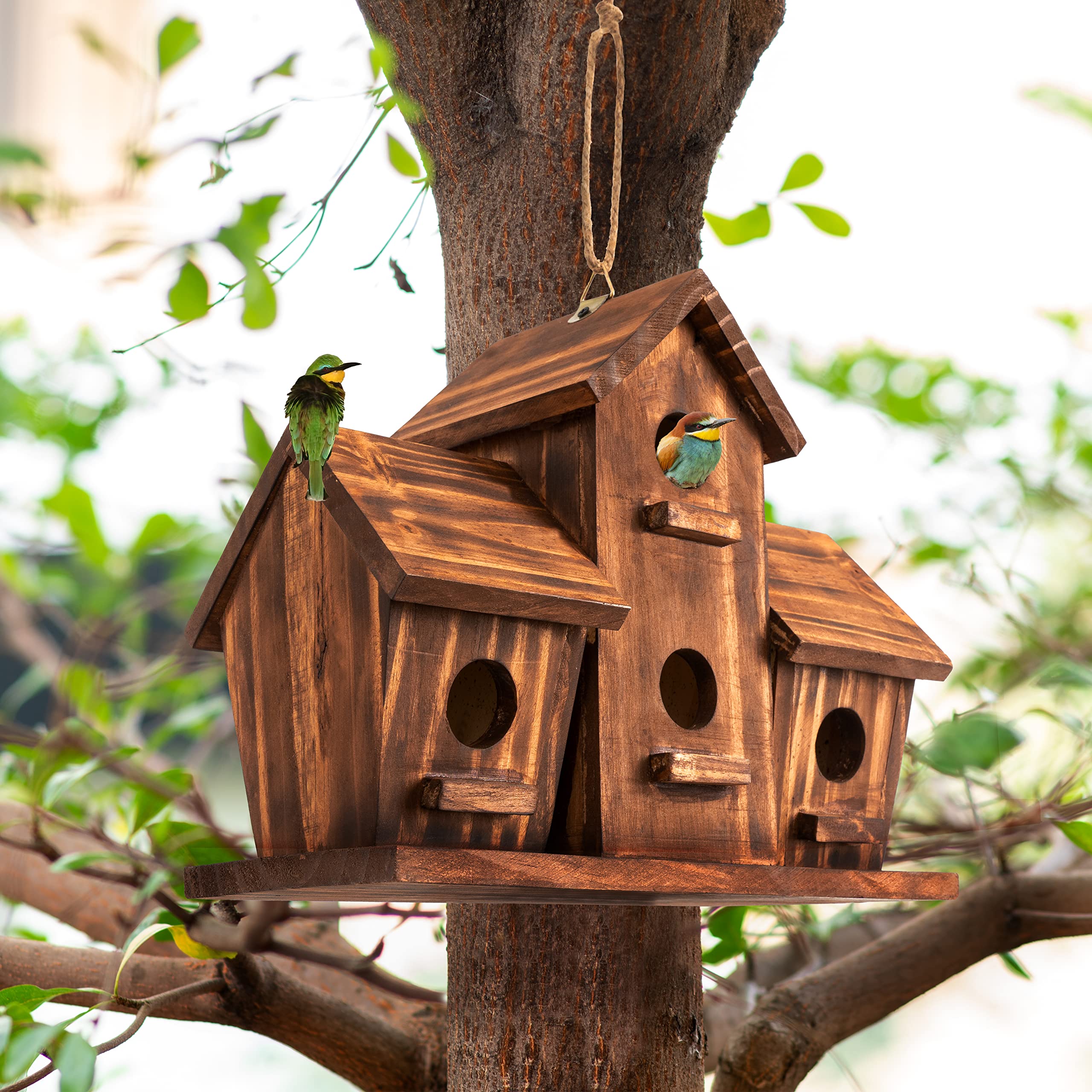 COLEBA Bird House wooden construction closeup reveals sturdy pine and joints.