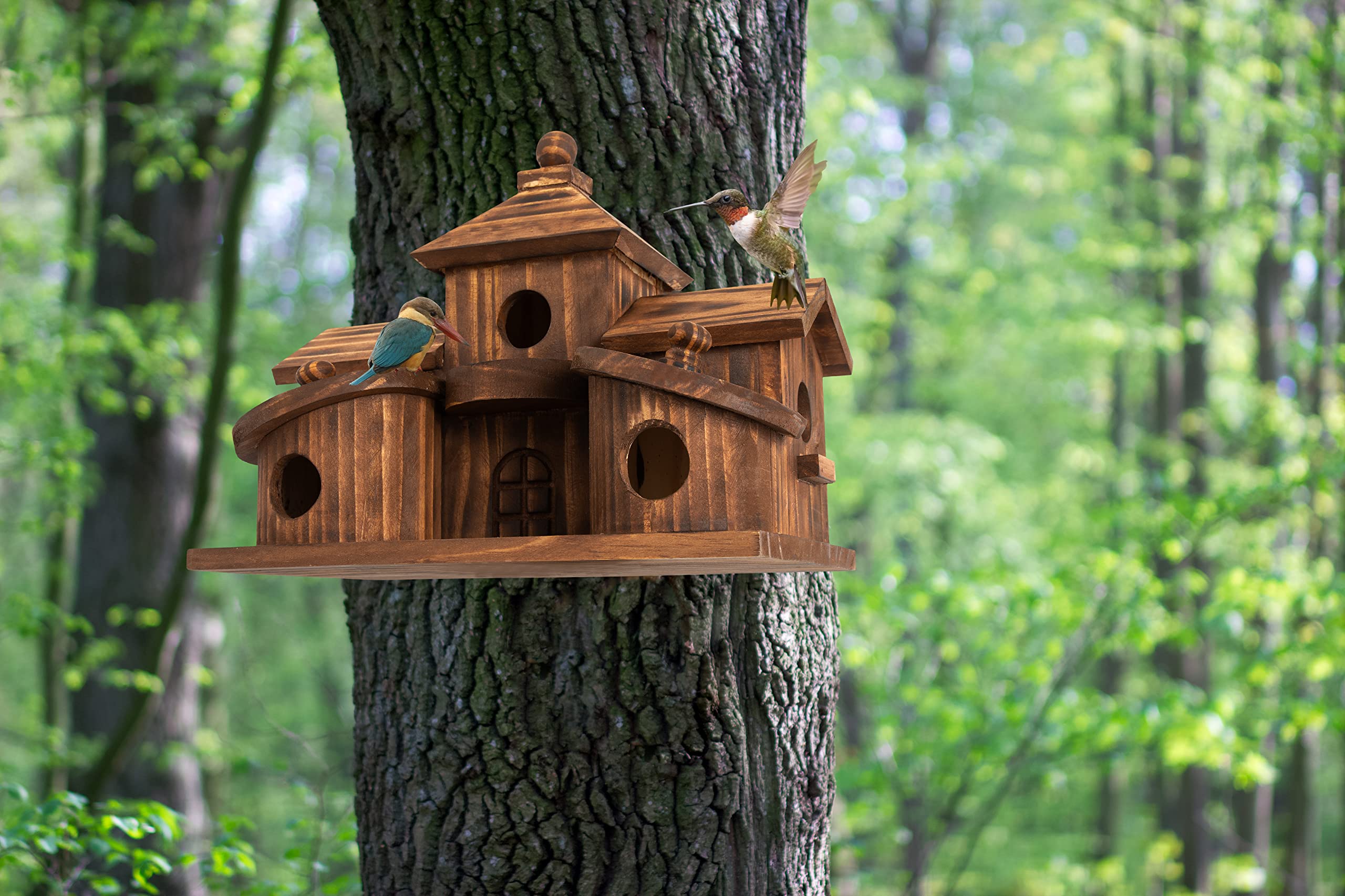 COLEBA wooden construction emphasizes durable outdoor shelter for birds.