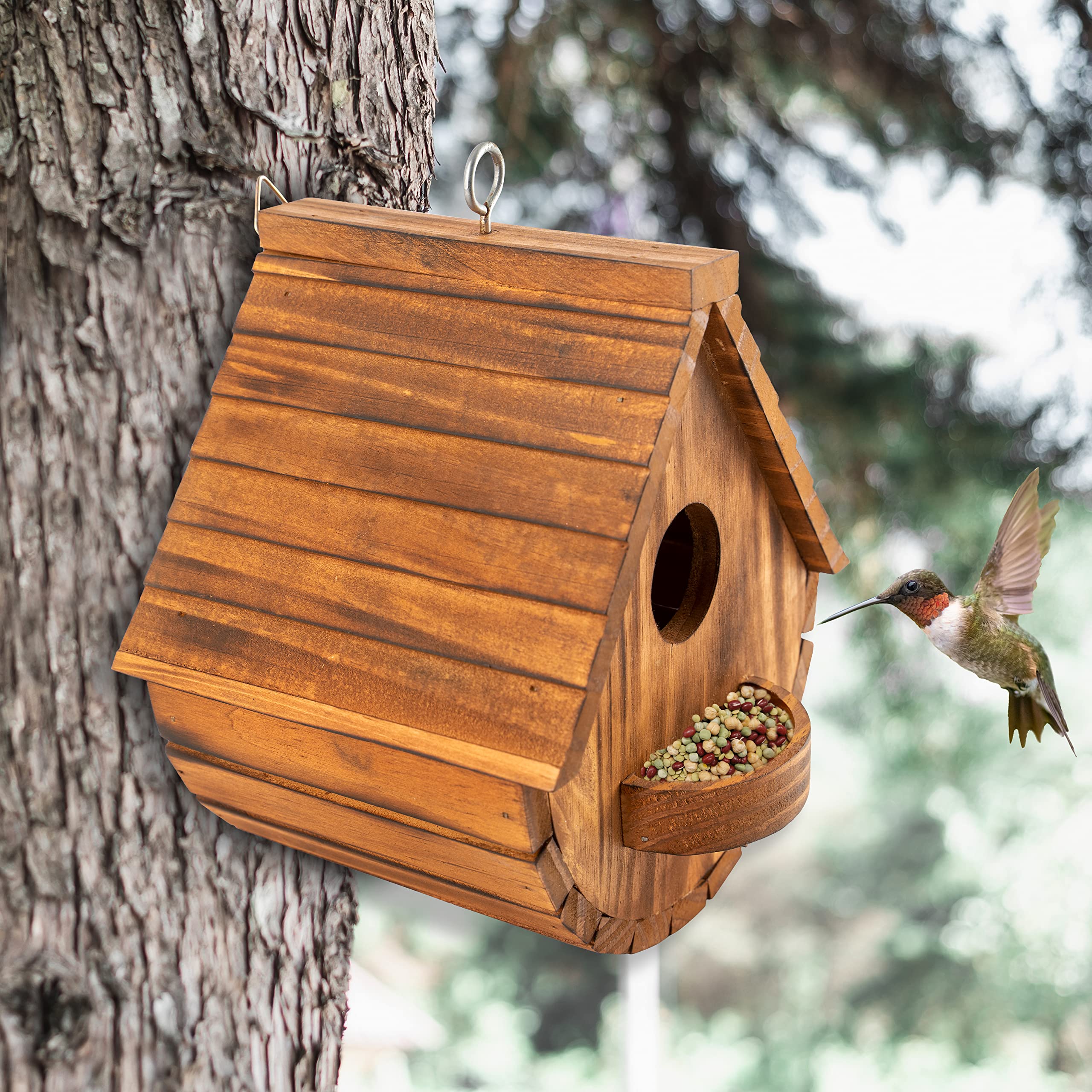 COLEBA nesting houses for outdoors are ideal for observing family-friendly wildlife.