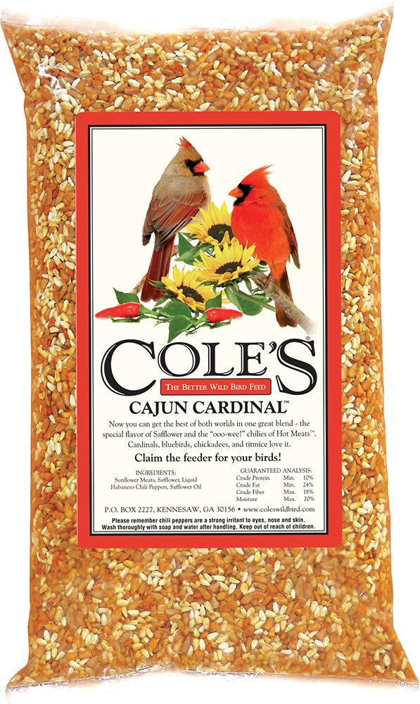Cole's Cajun Cardinal Blend at feeder attracts cardinals with natural ingredients