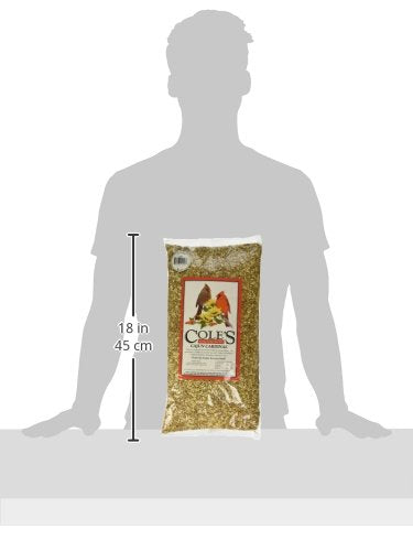 Closeup of Cole's Cajun Cardinal Blend seeds shows safflower and sunflower components for diverse birds