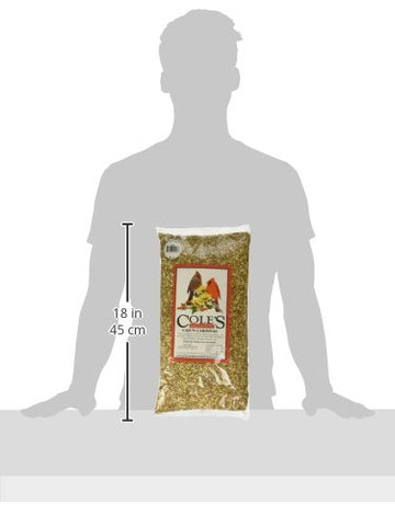 Closeup of Cole's Cajun Cardinal Blend seeds shows safflower and sunflower components for diverse birds