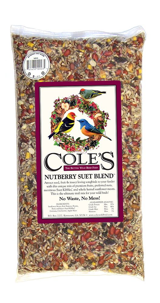 Cole's NB05 Nutberry Suet Blend bird seed draws diverse songbirds to your feeder.