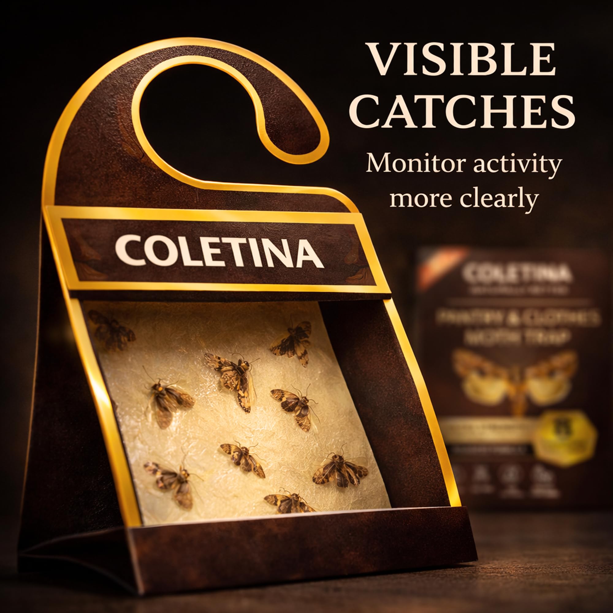 COLETINA multiroom coverage showing flexible placement across spaces.