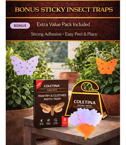 COLETINA moth traps packaging showing contents and setup.