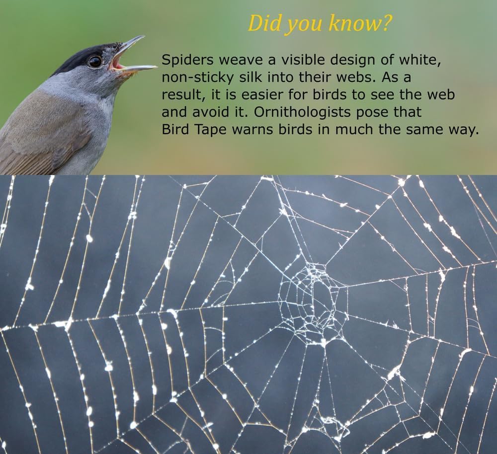 2x2 rule guidance with CollidEscape Spiderweb Clear BirdTape ensures effective visibility.