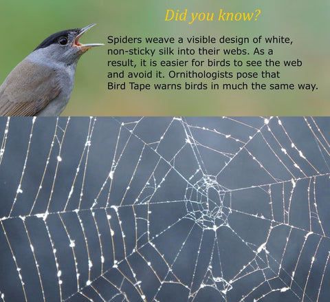 2x2 rule guidance with CollidEscape Spiderweb Clear BirdTape ensures effective visibility.