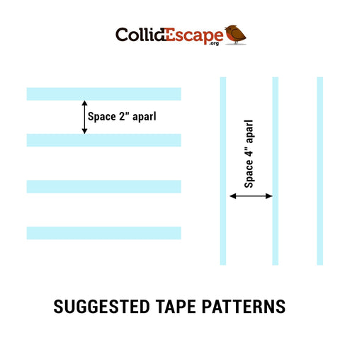 CollidEscape Spiderweb Clear BirdTape maintains curb appeal while protecting window views.