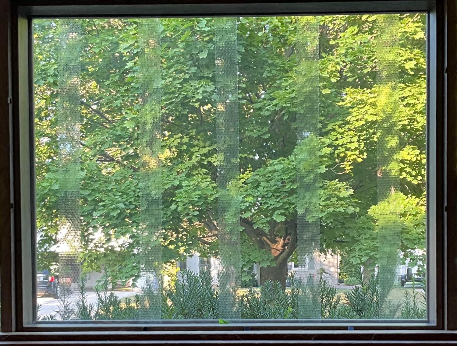 Durable CollidEscape Spiderweb Clear BirdTape provides long-lasting window protection.
