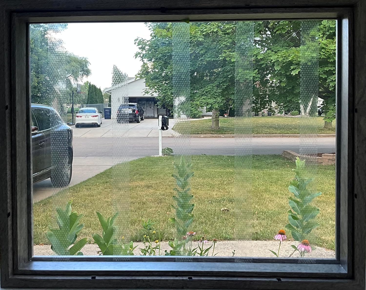 No-fly zone effect from CollidEscape Spiderweb Clear BirdTape reduces bird encounters with glass.