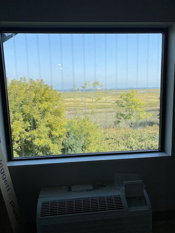 Perforated vinyl film from CollidEscape Spiderweb Clear BirdTape minimizes reflections on glass.