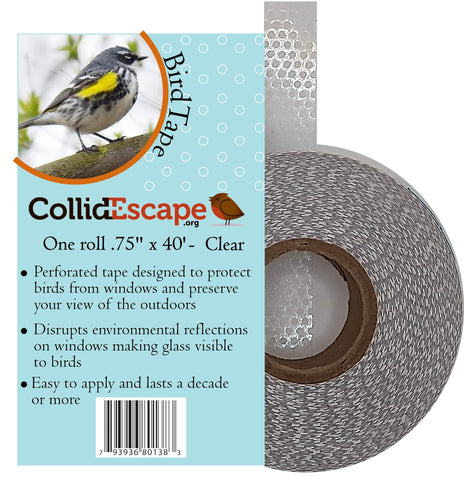 CollidEscape Spiderweb Clear BirdTape on a window enhances visibility and reduces bird collisions.