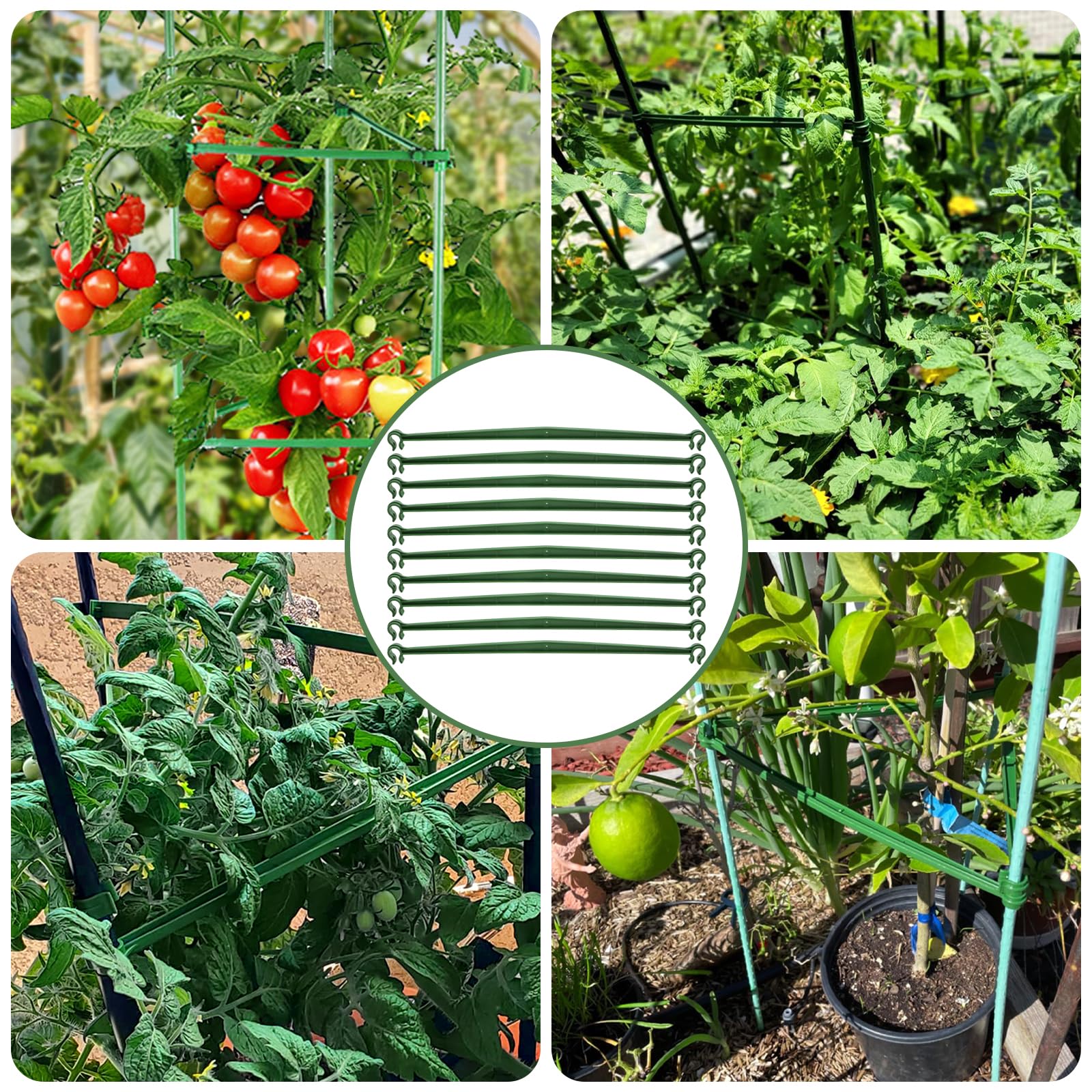 Coloch 100 pack keeps garden supplies ready for climbing plants.