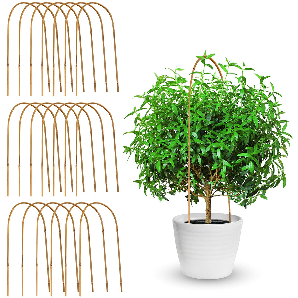 Coloch bamboo U trellis provides sturdy 16-inch support for potted plants.
