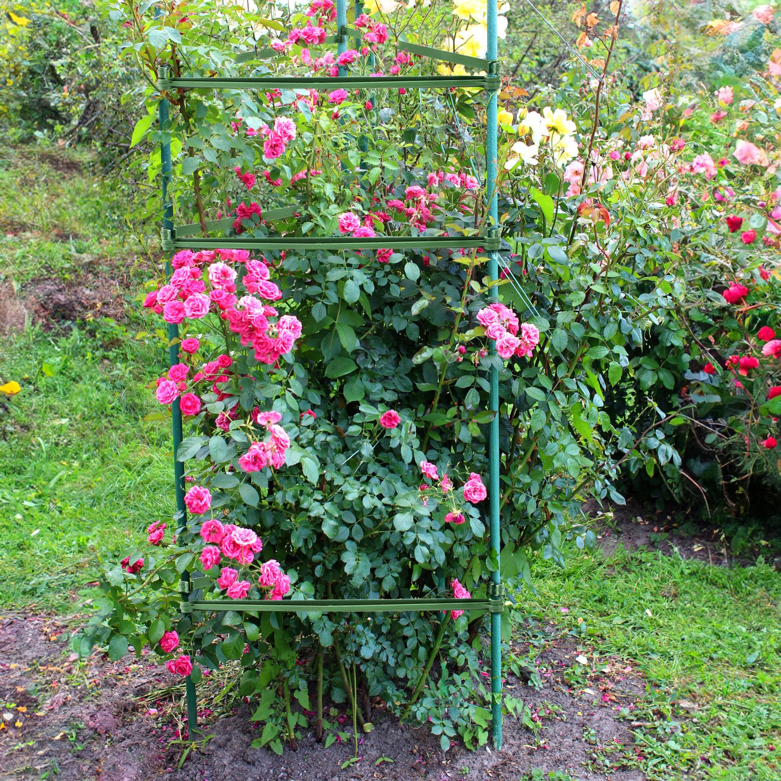 Coloch connectors adapt to triangles or squares for vines and vegetables.