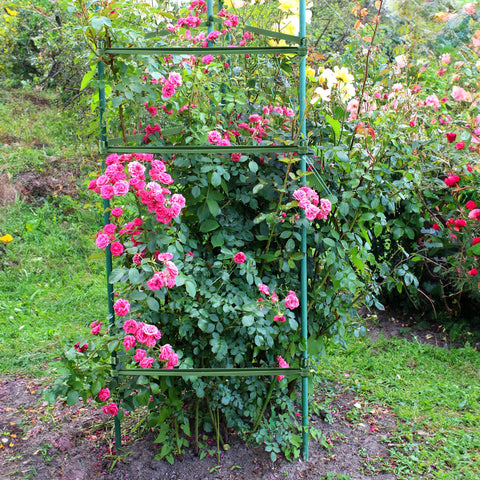 Coloch connectors adapt to triangles or squares for vines and vegetables.