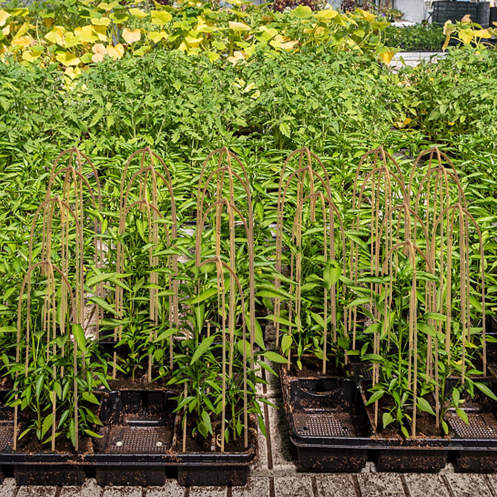 Coloch easy-install plant stake stays firmly in soil with no assembly.