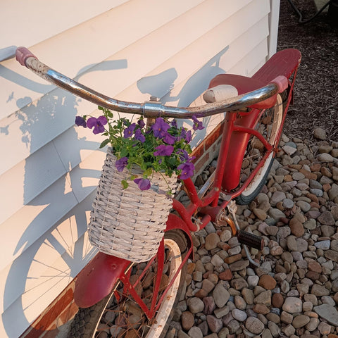 Coloch premium wicker with metal liner resists deformation