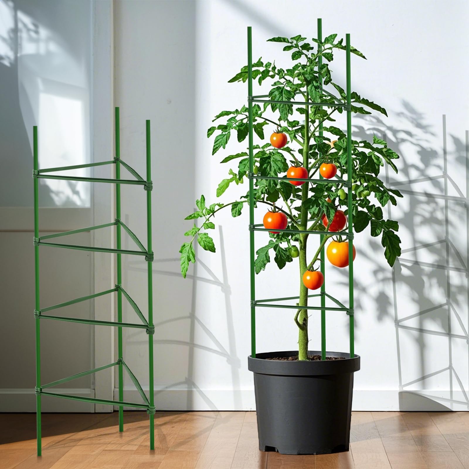 Coloch stake arms support tomato cages and climbing vines with firmness.