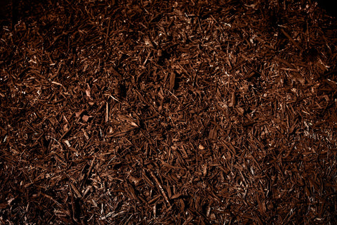 Bark mulch gets a renewed, natural-looking color with COLORBACK.