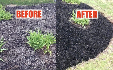 COLORBACK Pine straw color restoration helps maintain moisture balance.