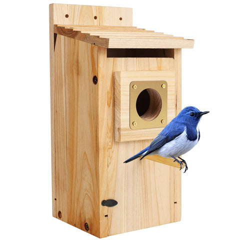 ColorfulLaVie bird house with copper guard, front view showing predator protection.