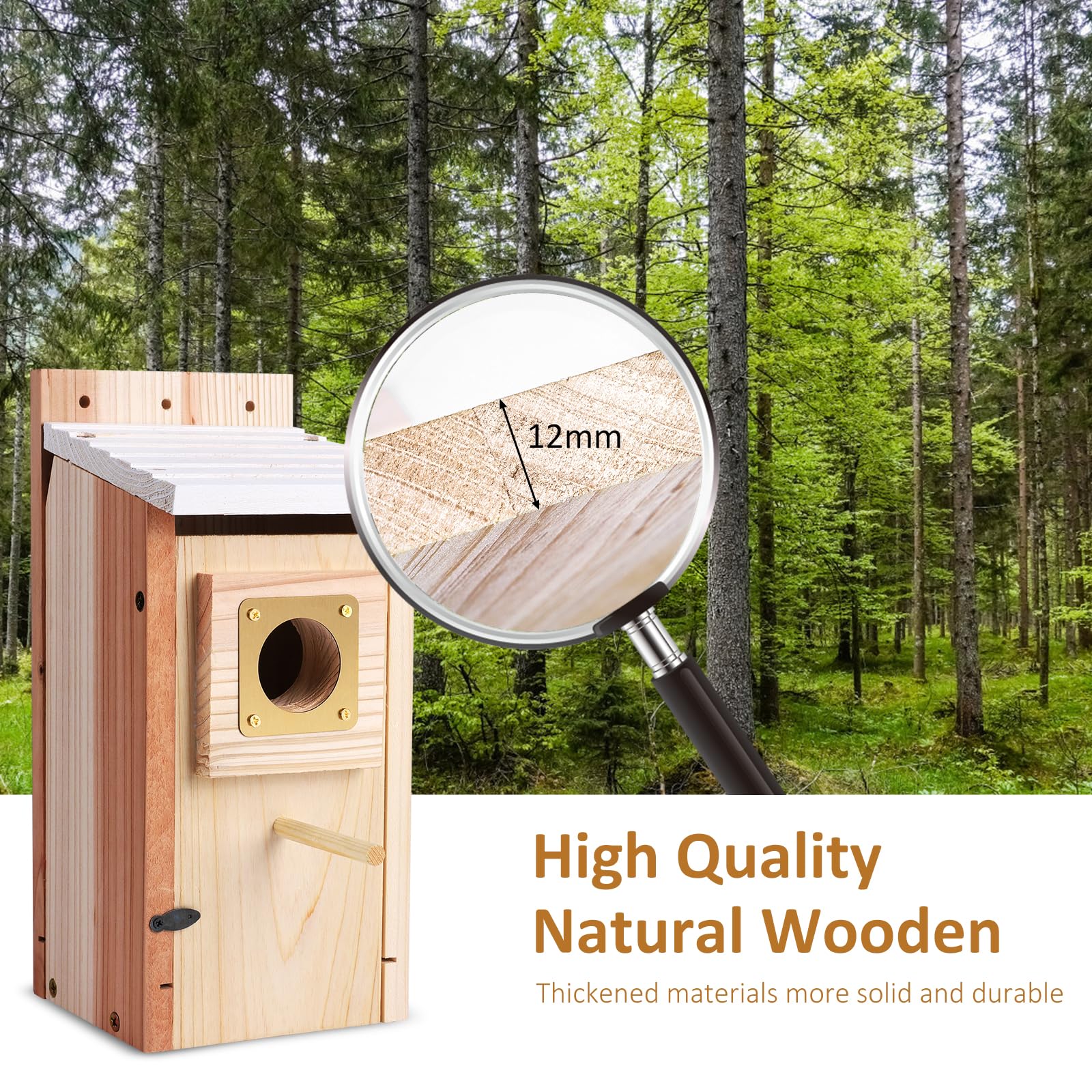 ColorfulLaVie bird house pole installation demonstrates versatile mounting options.