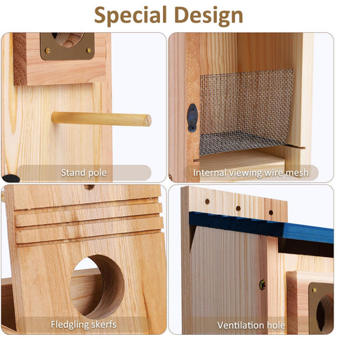 ColorfulLaVie bluebird house durable wood for year-round shelter.