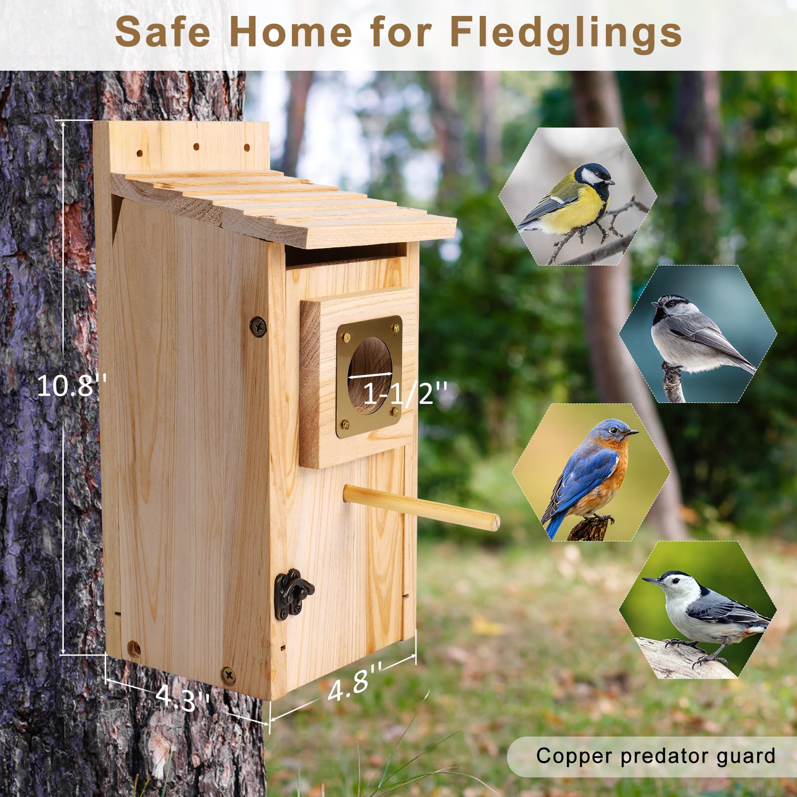 ColorfulLaVie bluebird house in natural wood for durable year-round shelter.
