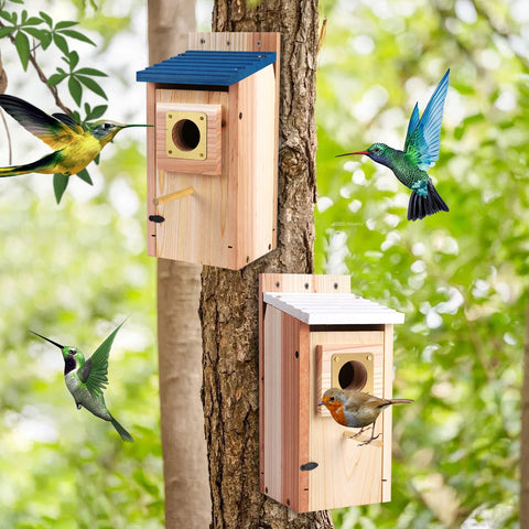 ColorfulLaVie bluebird house thick wood highlights durable insulation.
