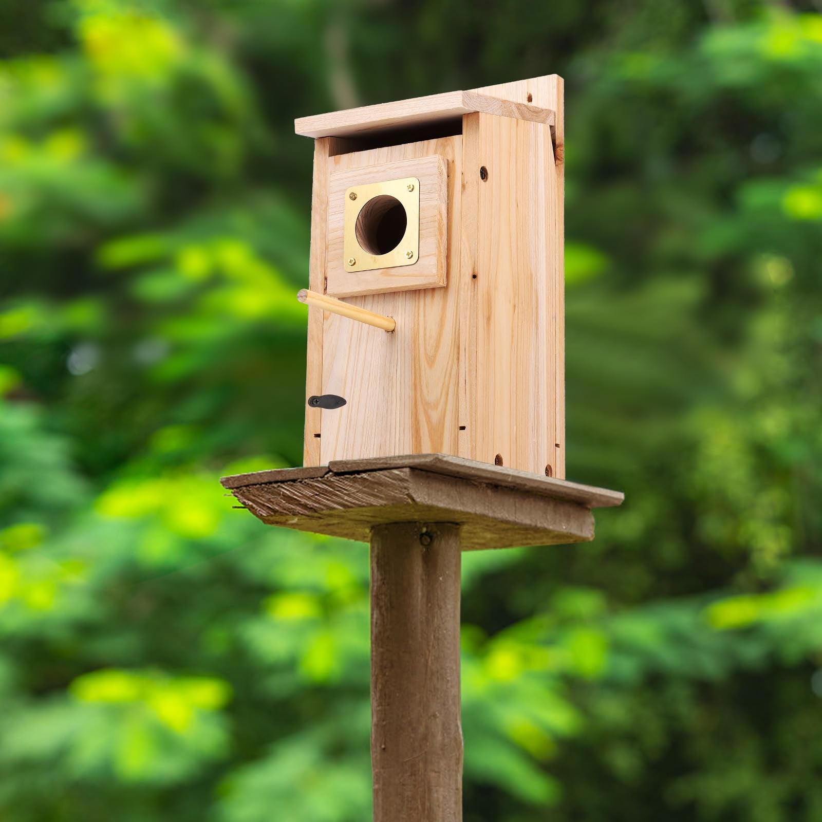 ColorfulLaVie garden cottage style bird house blends with country landscapes.