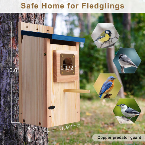ColorfulLaVie nesting box for wild birds ready for observation.