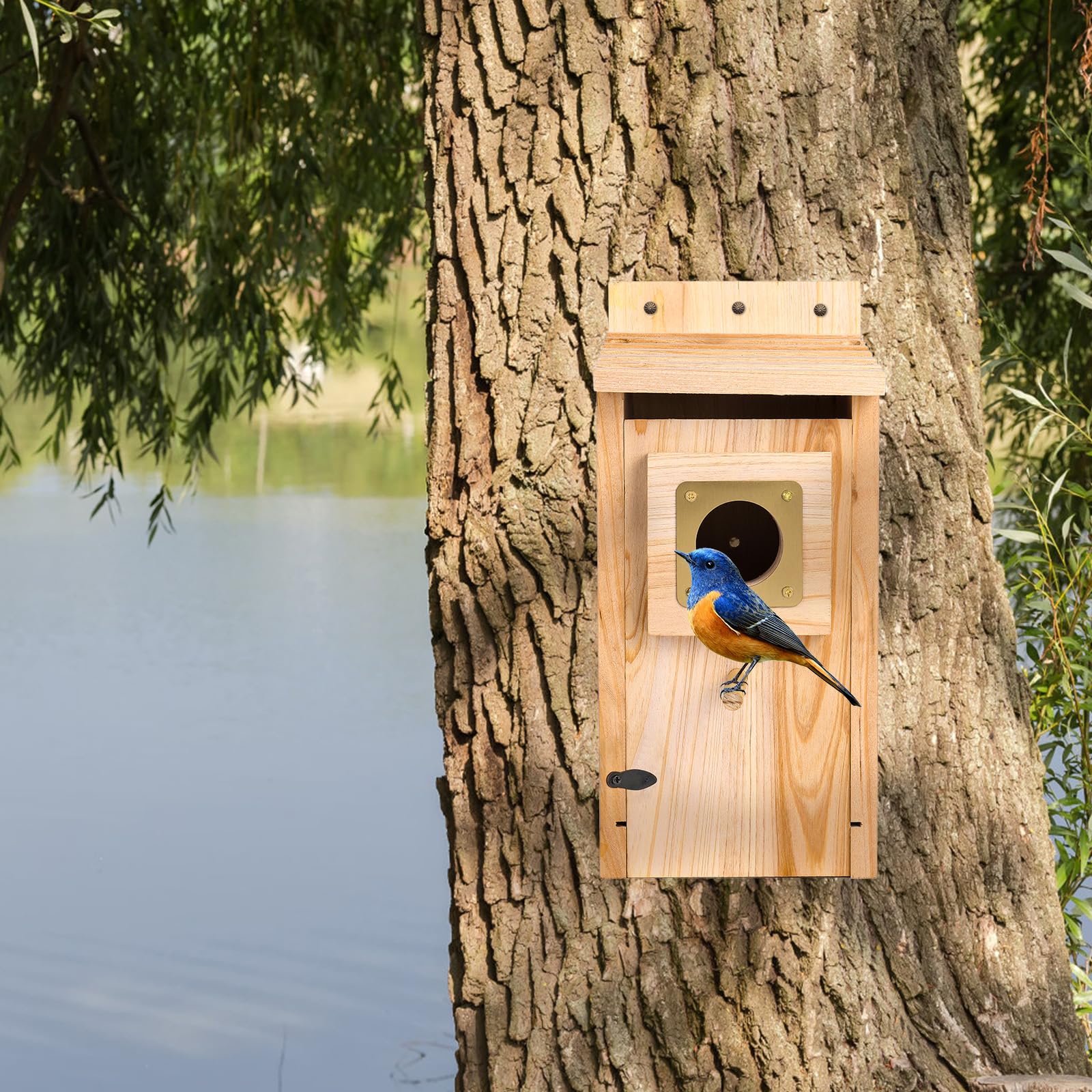 ColorfulLaVie outdoor nesting box suitable for bluebirds wrens and chickadees.