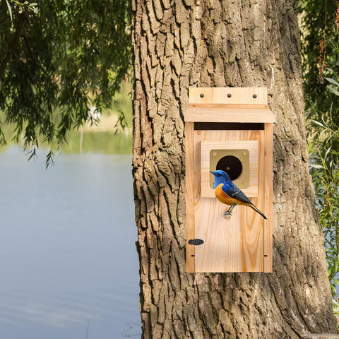 ColorfulLaVie outdoor nesting box suitable for bluebirds wrens and chickadees.