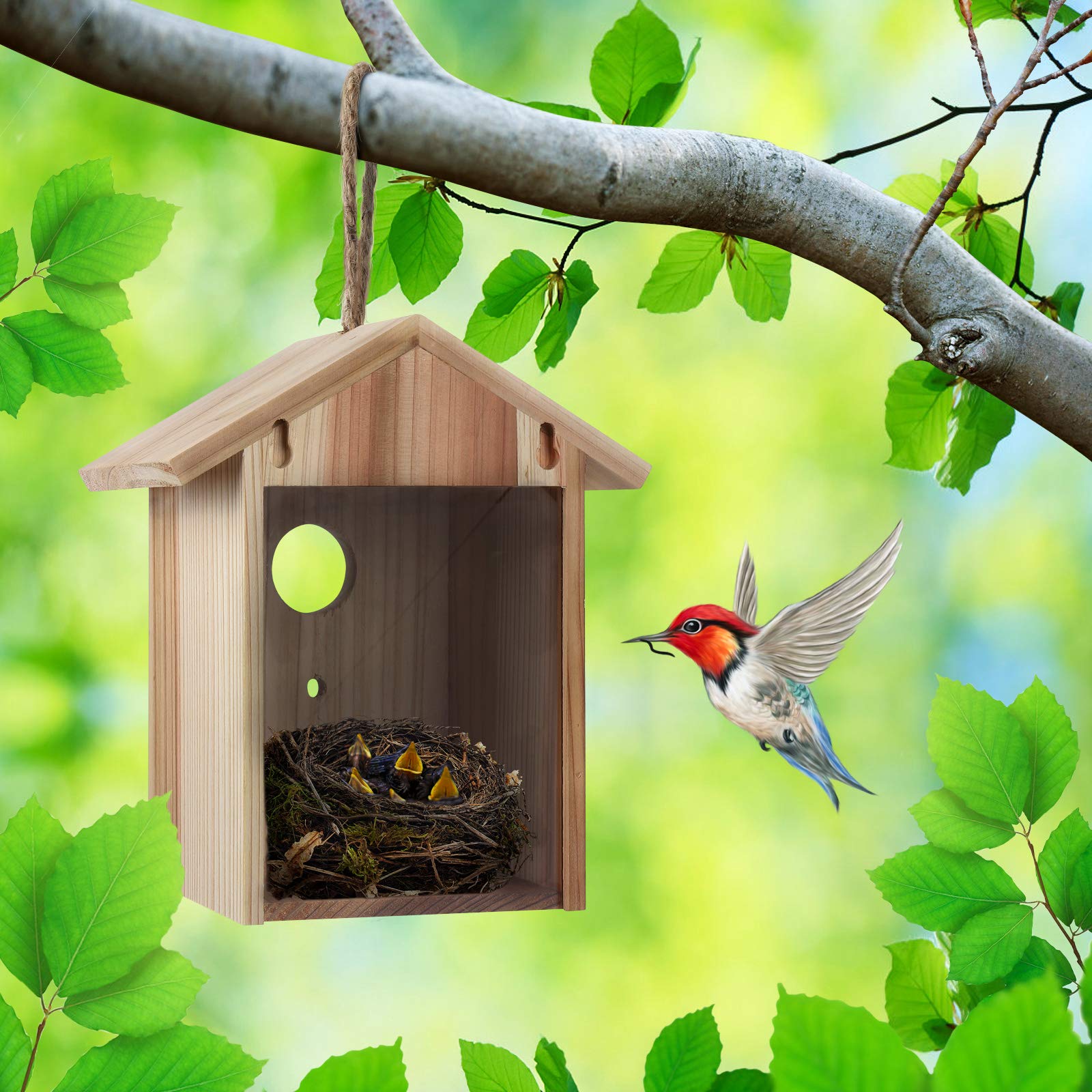 ColorfulLaVie outdoor bird house ideal gift for kids and nature lovers.