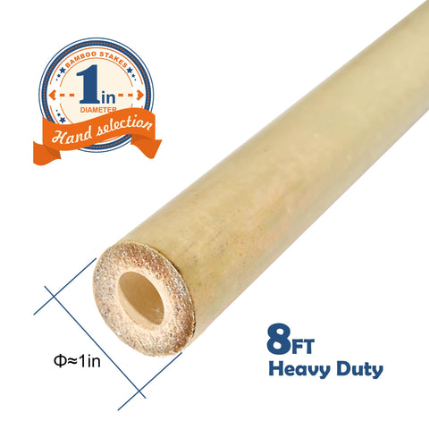 Colotime 1in-diameter bamboo poles close-up highlights sturdy straight fibers for reliable support