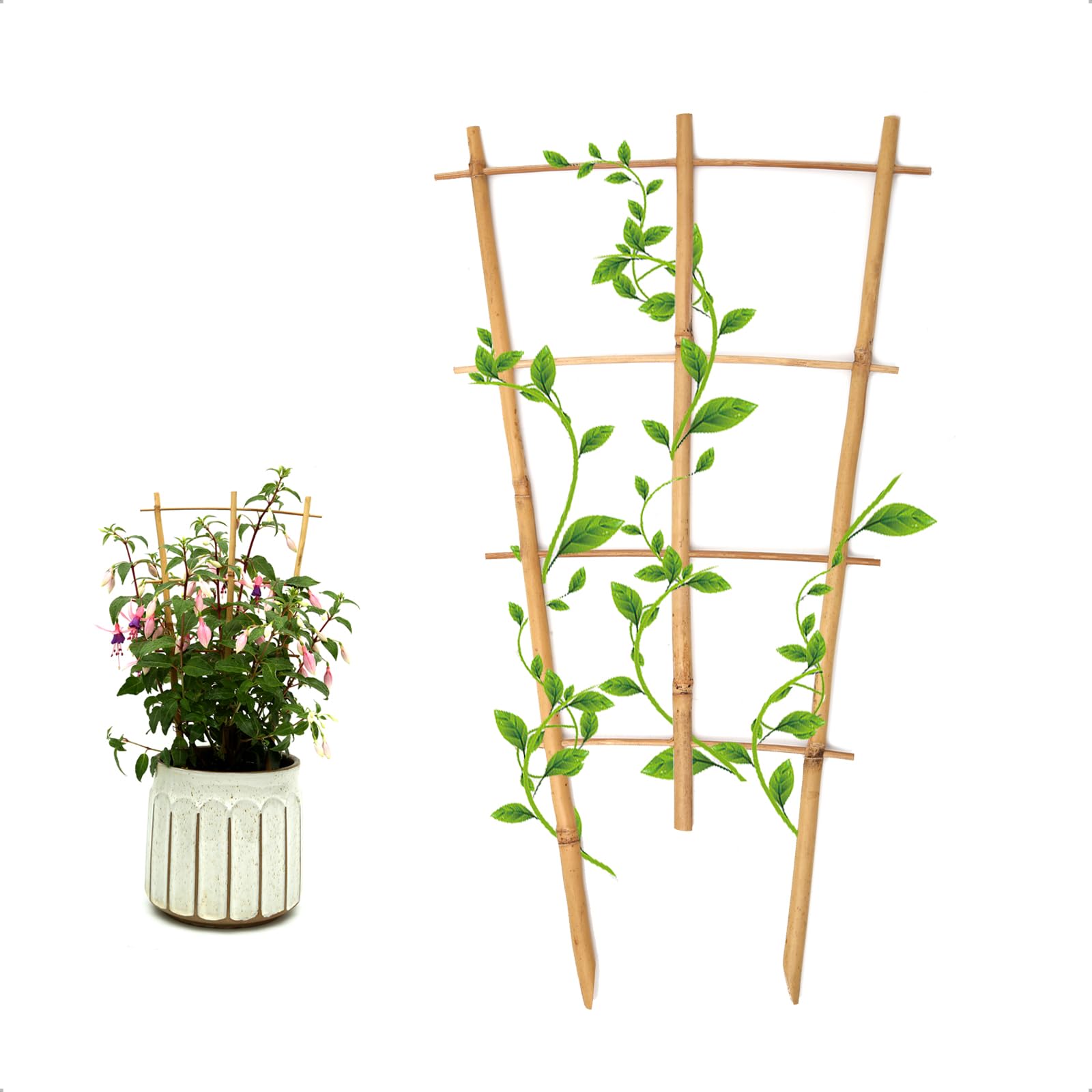 COLOtime 3Pack bamboo trellis 16in fan-shaped supports indoor climbing plants.