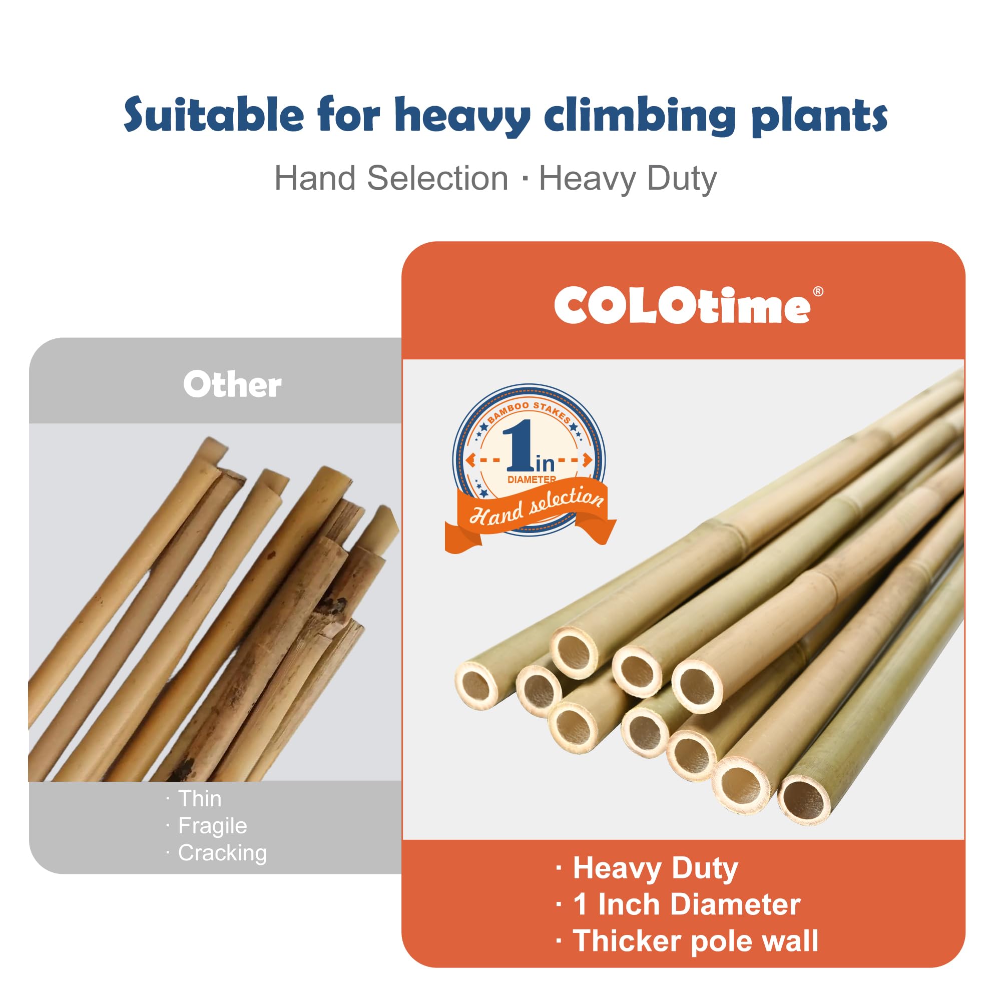 Colotime bamboo stake being inserted into ground for quick garden setup
