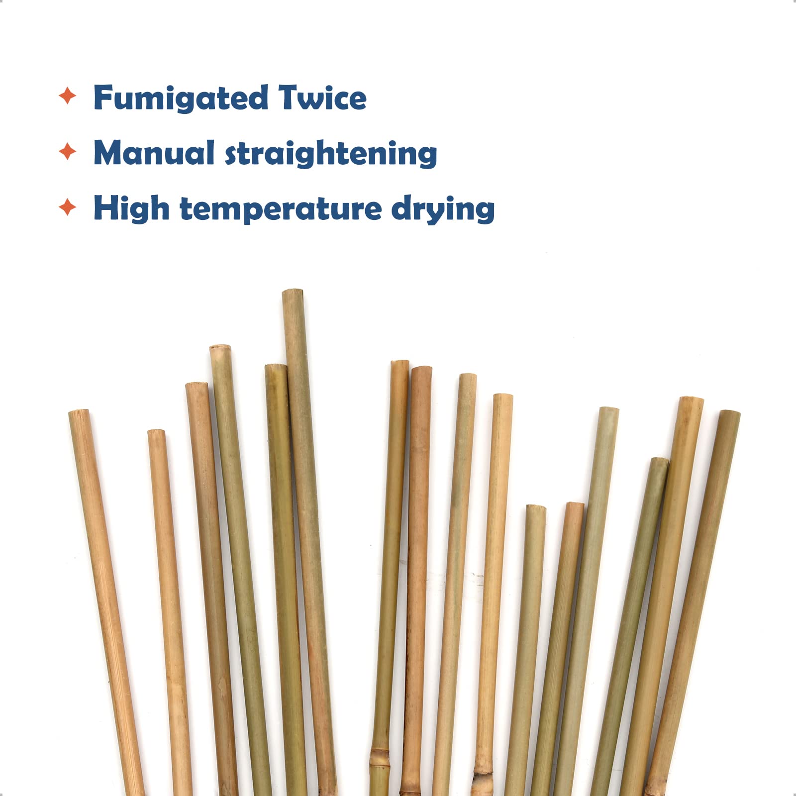 COLOtime trellis-frame stakes enable easy DIY plant frames.
