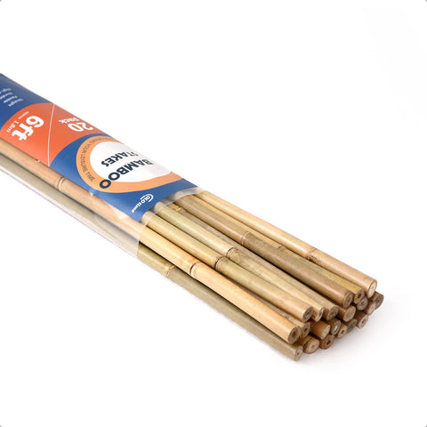 COLOtime bamboo stakes 6ft pack ready for trellis and climbing plants support