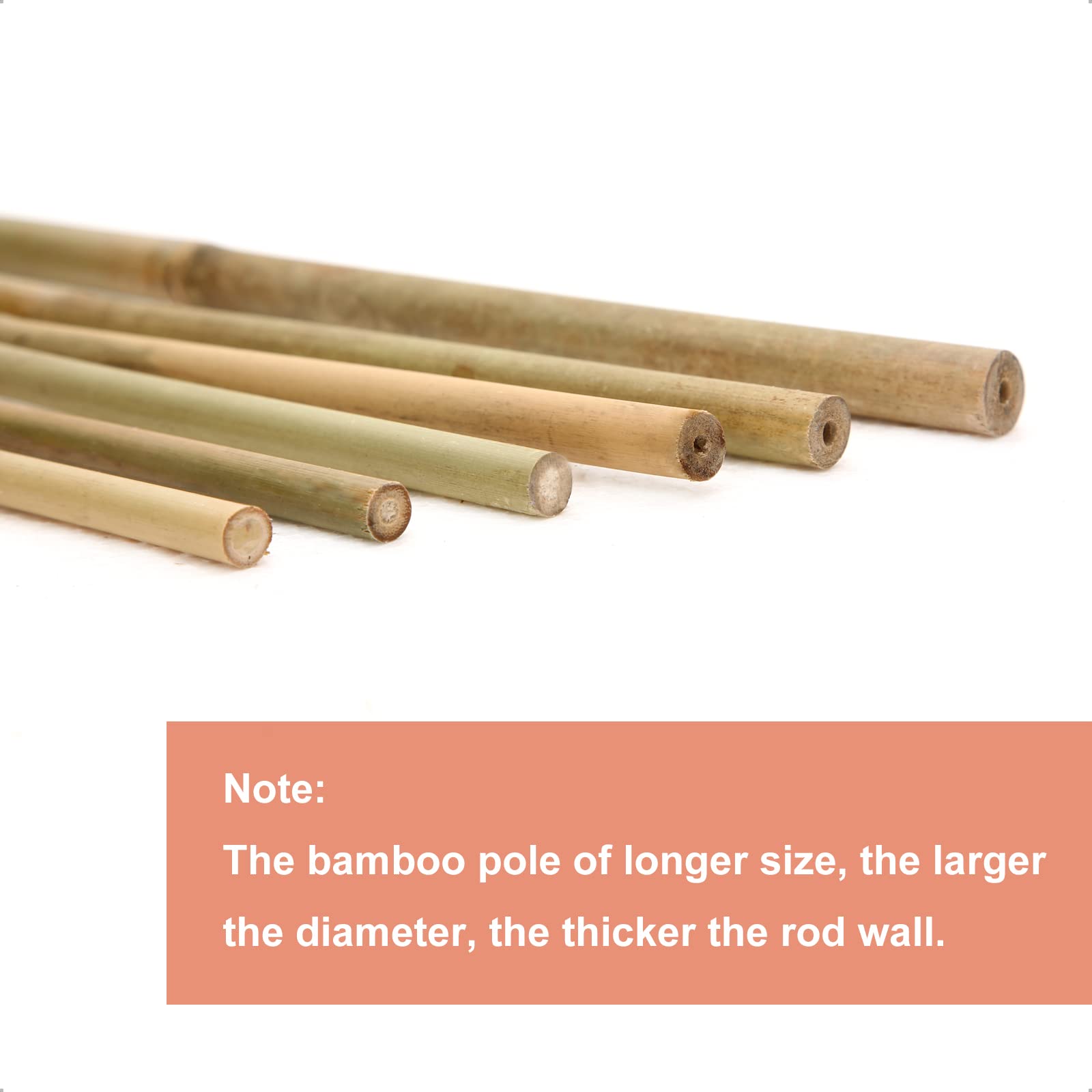 COLOtime bamboo stakes cut to size for flexible trellis design.