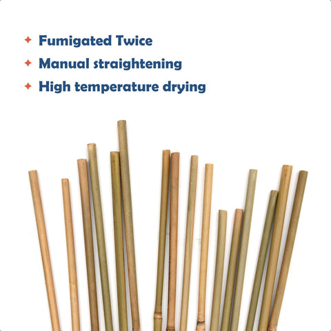 COLOtime bamboo stakes straight and premium quality for long-lasting garden framing.
