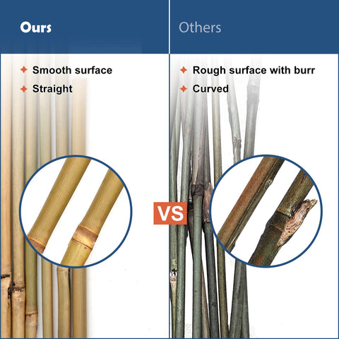 COLOtime bamboo stakes provide sturdy plant support against wind