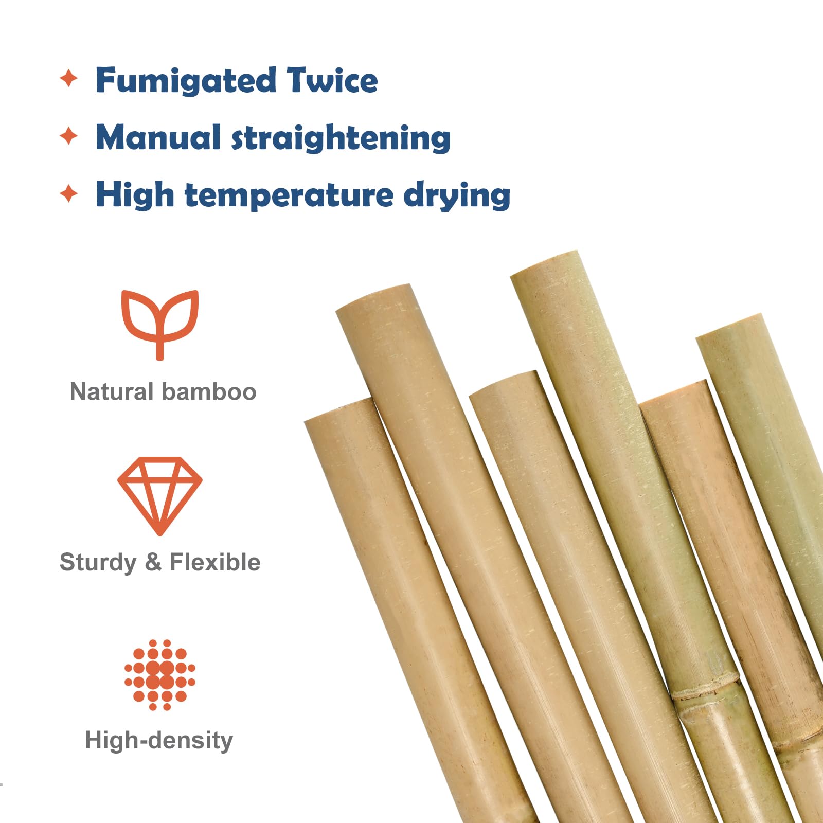 Colotime bamboo stakes forming a trellis assembly for climbing plants