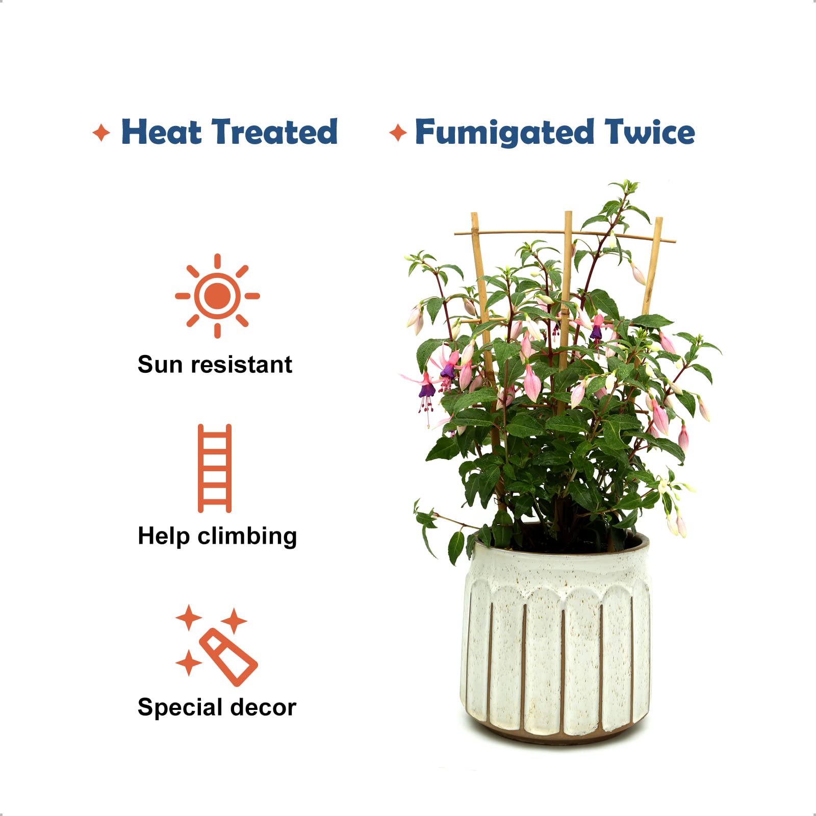 COLOtime easy-install trellis fits pots to guide vines and orchids.