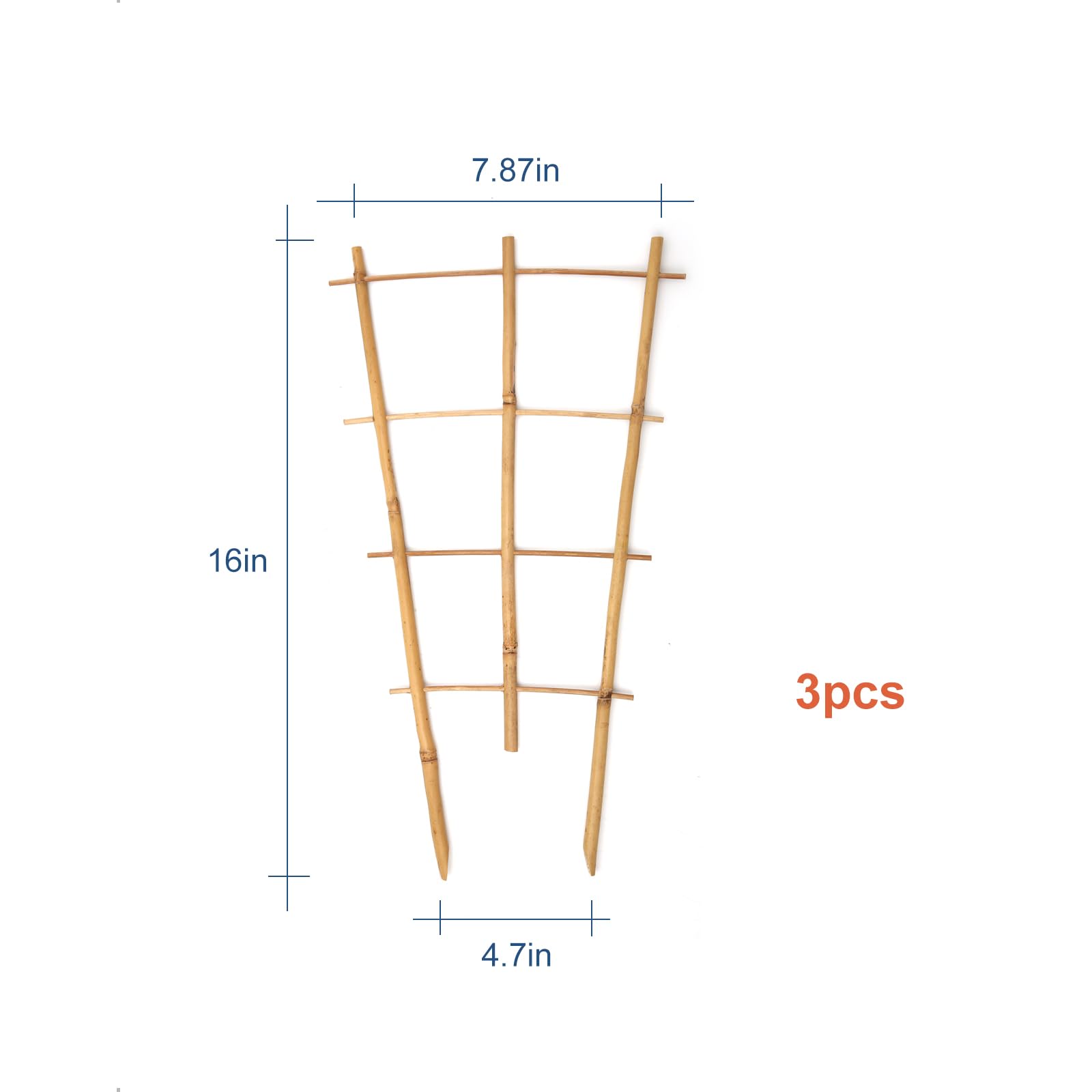 COLOtime indoor trellis setup for easy pot-grown plant training.