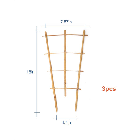 COLOtime indoor trellis setup for easy pot-grown plant training.